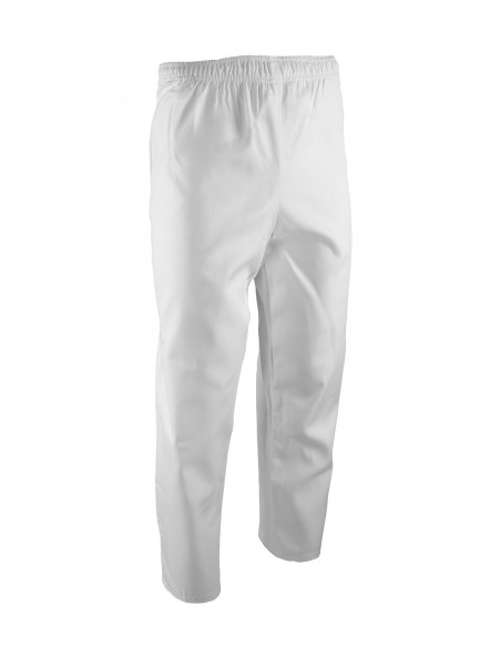 SPODNIE DO PASA HACCP BRIXTON WHITE