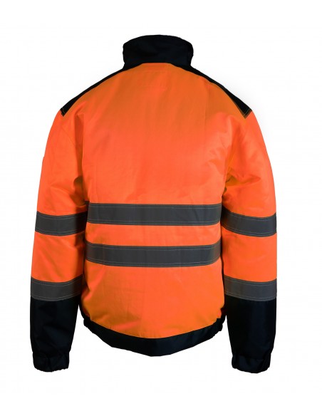 Bluza Brixton Flash PG